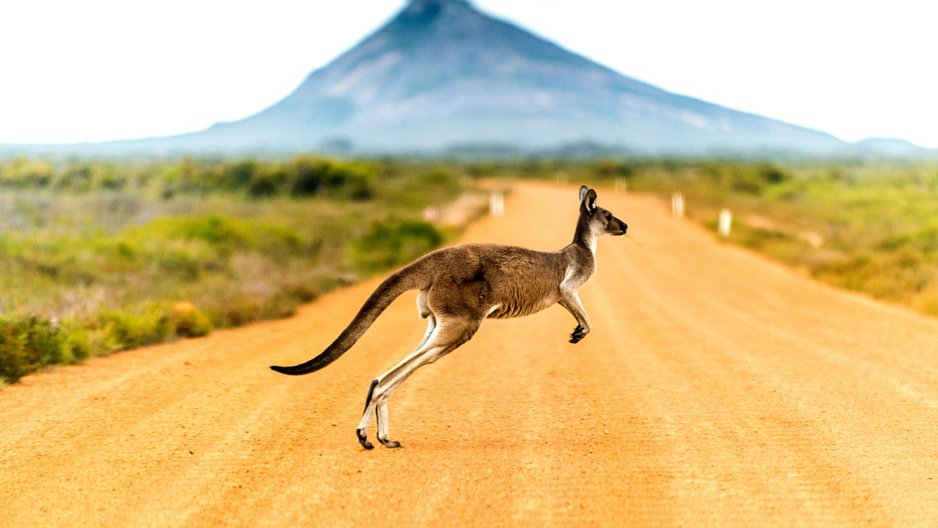 itinerario in australia agenzia viaggi sguardi dal mondo